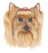 (image for) Yorkshire Terrier Small Calendar Holder(B)